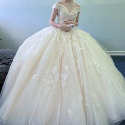 Quinceañera Dress 