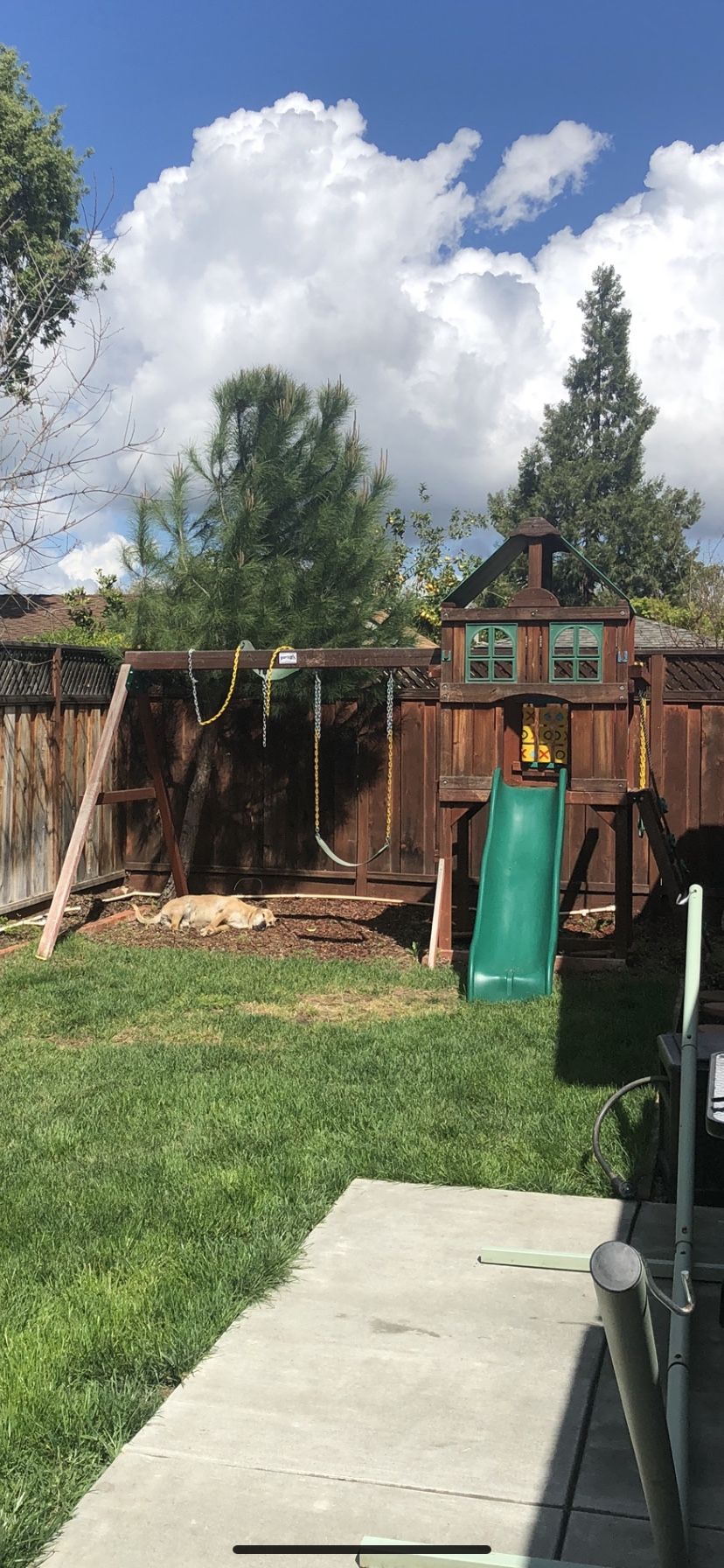 Gorilla play structure