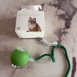 Interactive cat Toys