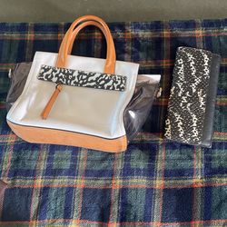 Coach Handbag And Wallet 