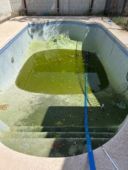 Pool vacuum