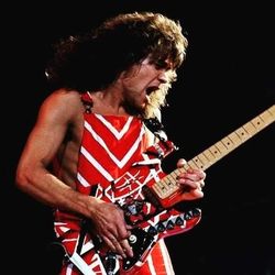 VAN HALEN LIVE CONCERT DVD's