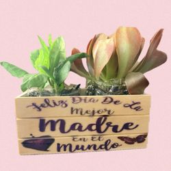MOTHERS DAY CRATES WITH PLANT $15