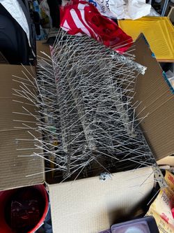 Bird Spikes