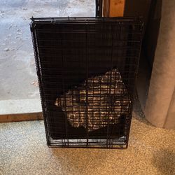 Dog Crate 