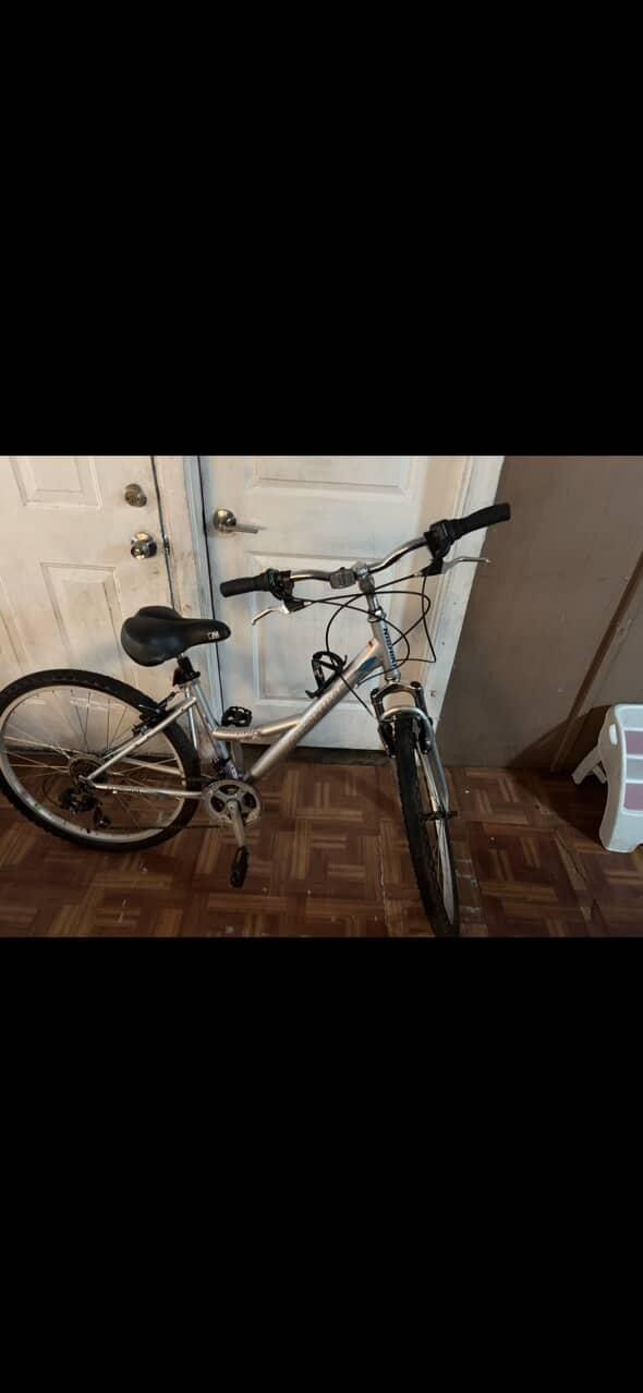 Grey Nishiki Bike