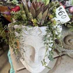 Large Succulent Planters