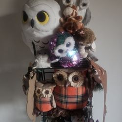 Owls