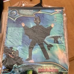 Boys Toothless costume from how to train your dragon