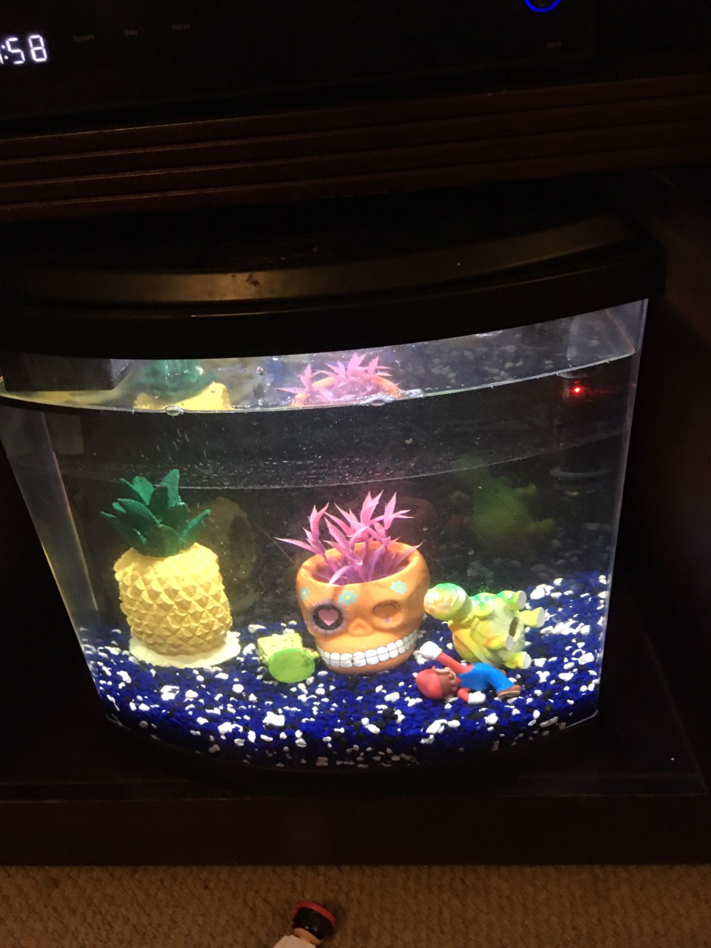 Fish Tank