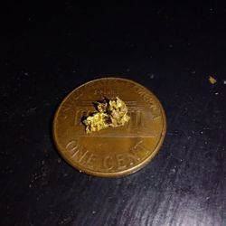 Rare Crystallized Gold Nugget 