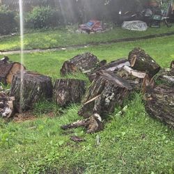 FREE. fire Wood Logs