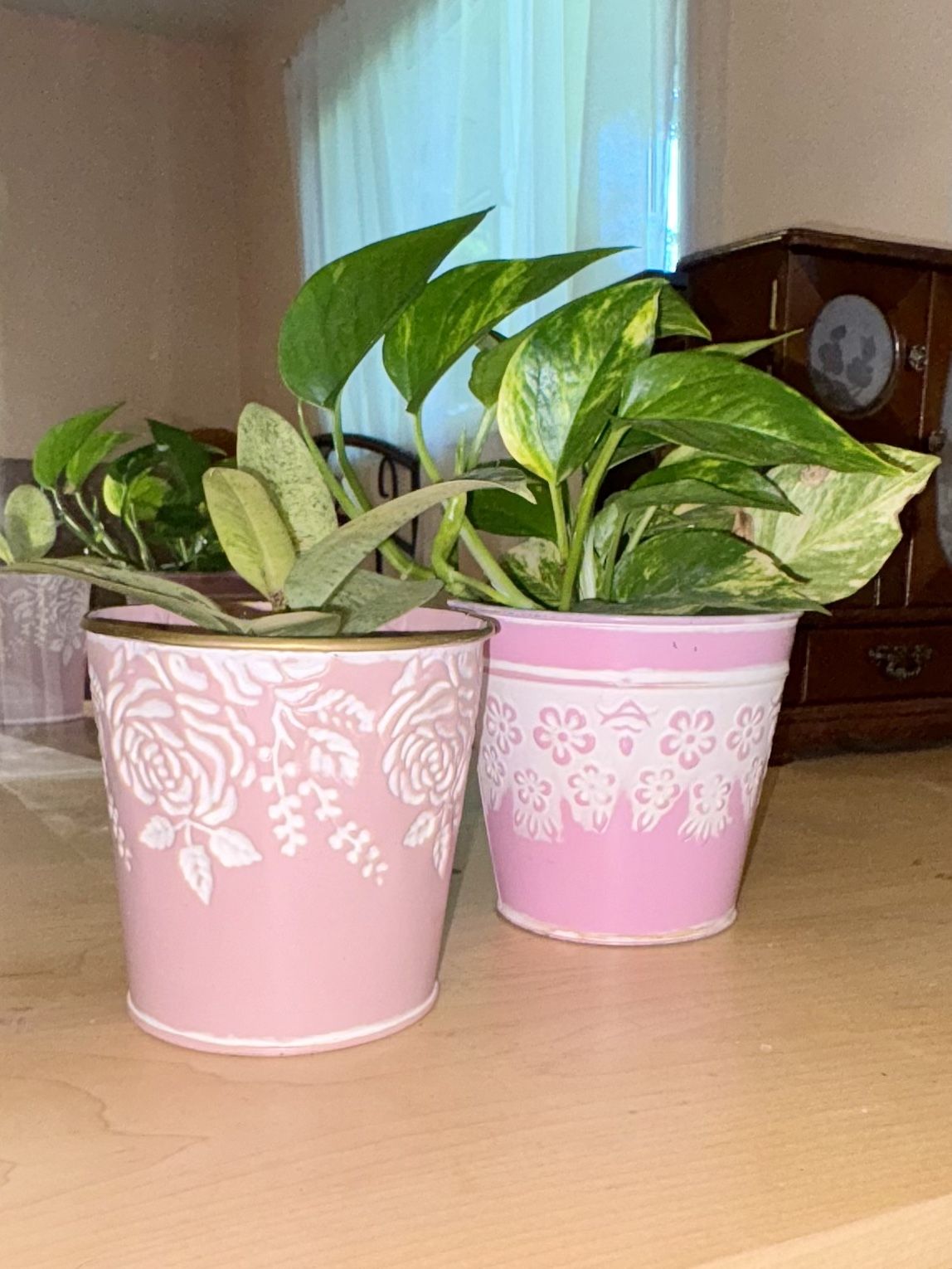 Flower/ Plant Pots