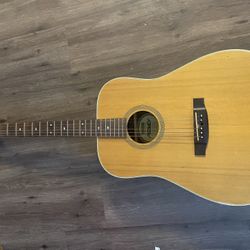 Acoustic Guitar 