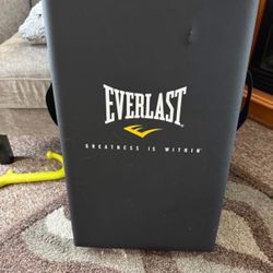 Everlast Strike Shield Pad 