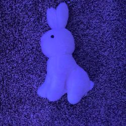White Rabbit 