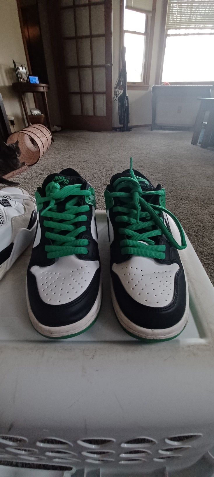 Black and Green Nike SBs (Size 9)