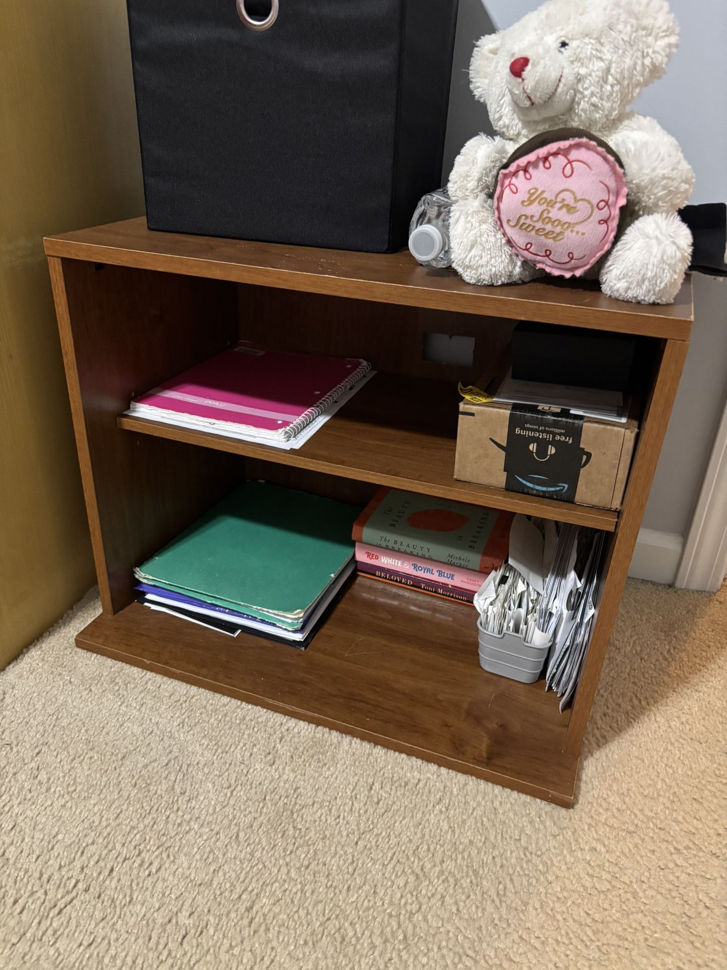 Kids Bookshelf $35 or best offer