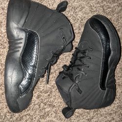 Jordan 12s
