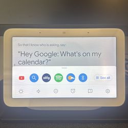Google nest hub