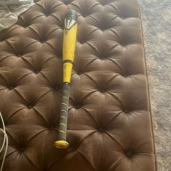 24 Inch Baseball Bat.