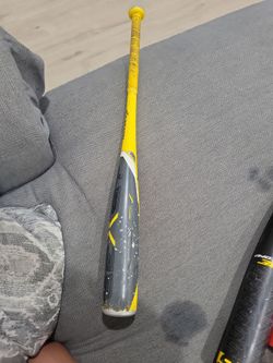 Easton beast baseball bat size 28