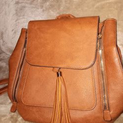 Backpack Purse/shoulder Bag