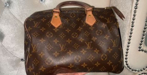 Louis Vuitton Purse