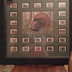 Wild Turkey Federation Stamp Collection Framed 