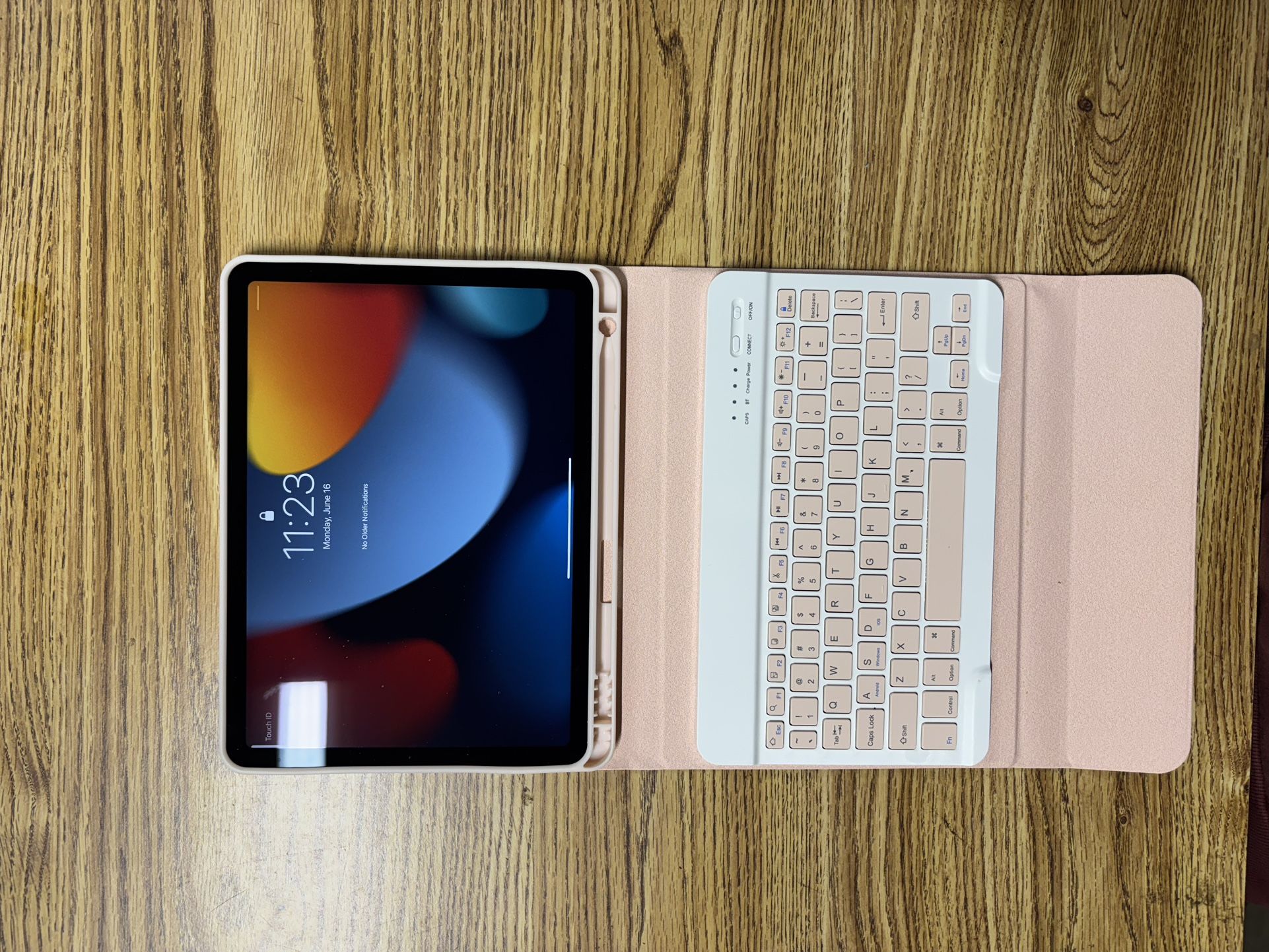 Apple iPad Air 256GB