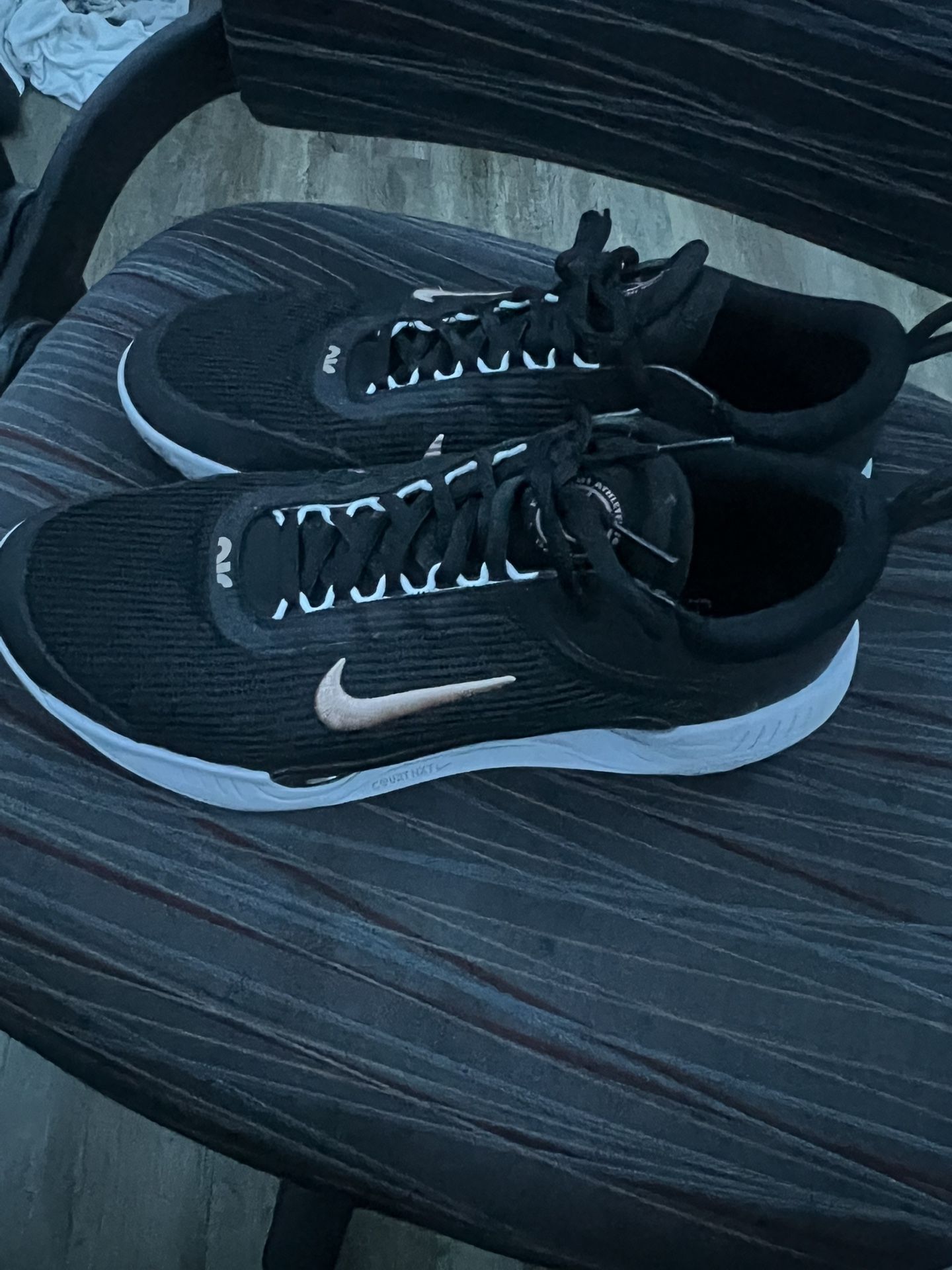 Nike Men’s Zoom court