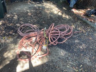 Hose