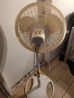 Fan