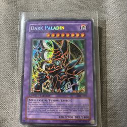 !!Secret Rare Limited!!!Dark Paladin - Duel Master's Guide