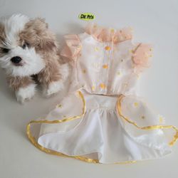 Ropa Nueva para Mascota