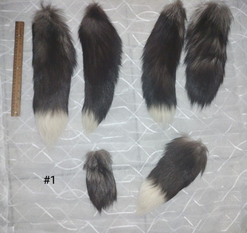 6 Silver Fox Tails Various Sizes