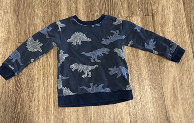 Kids Dinosaur Print Long Sleeve Sweatshirt