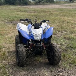 Honda Trx 250 (2021)