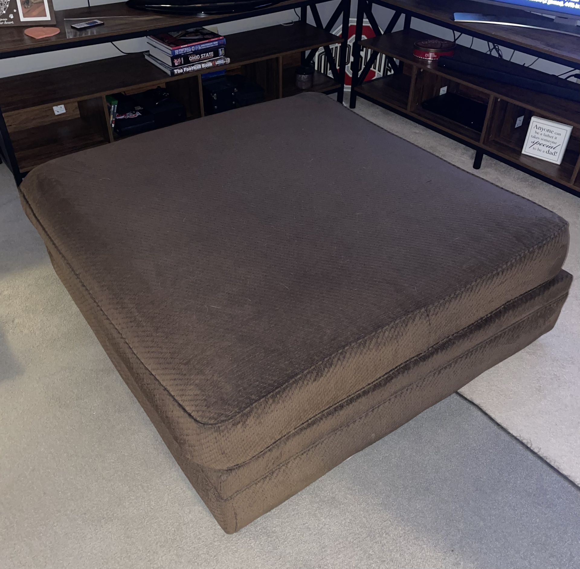 Large Ottoman (Furniture)