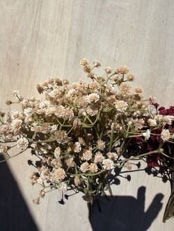 Faux baby's breath stems
