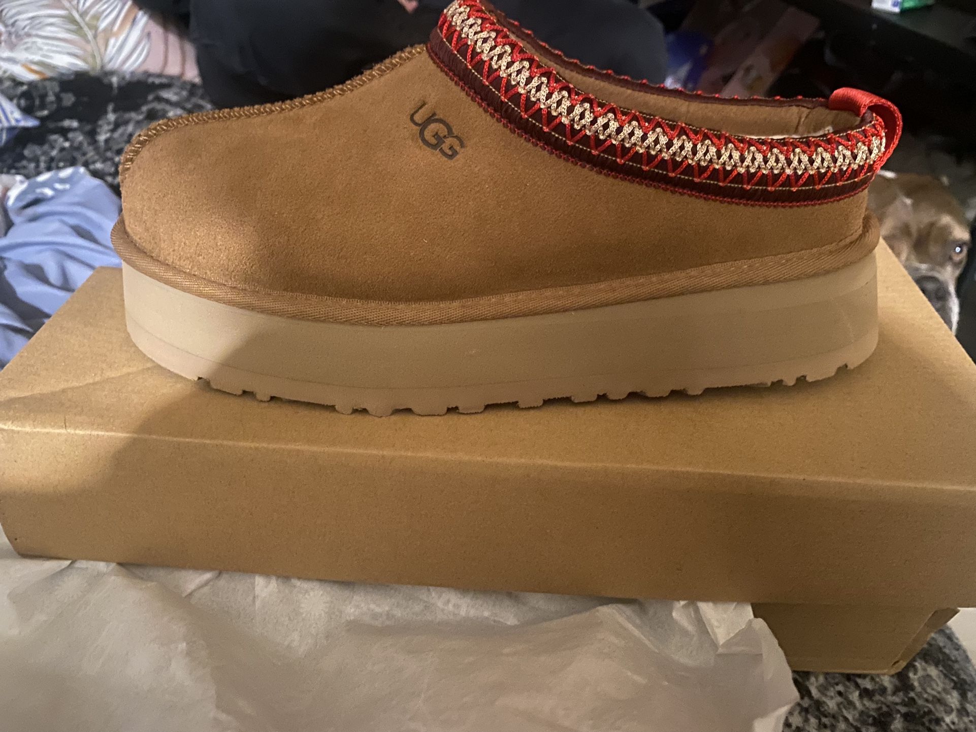 Ugg Tazz Women Size 8