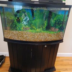 Fihs Tank 