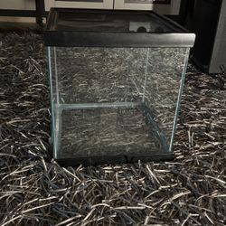 Spider 🕷cage or a baby frog cage🐸
