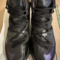 NIKE LeBron 13 Lion