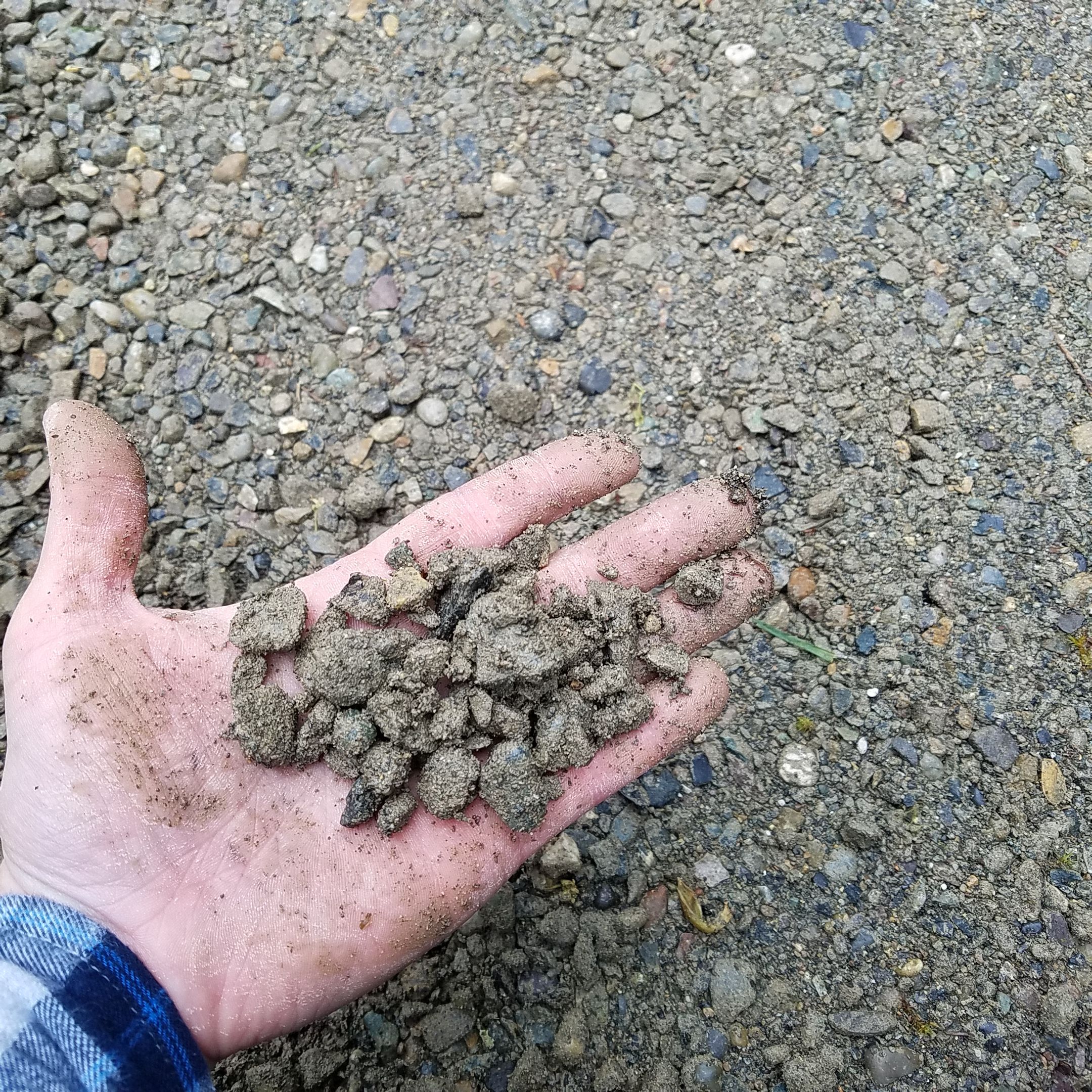 6 yards 5/8 minus grey gravel delivered for Sale in Tumwater, WA OfferUp