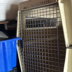 Dog Cage 