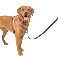 PetSafe 3 in 1 Dog Harness - No Pull Solution for Dogs - Reflective Dog Harness - Front D-Ring Clip Helps Stop Pulling - Comfortable Padded Straps - T
