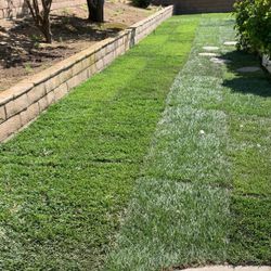 Sprinklers, Sod, Artificial Grass, Decorative Rocks 