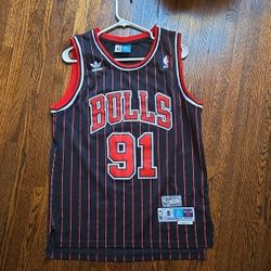1996 Hardwood Classics, Dennis Rodman