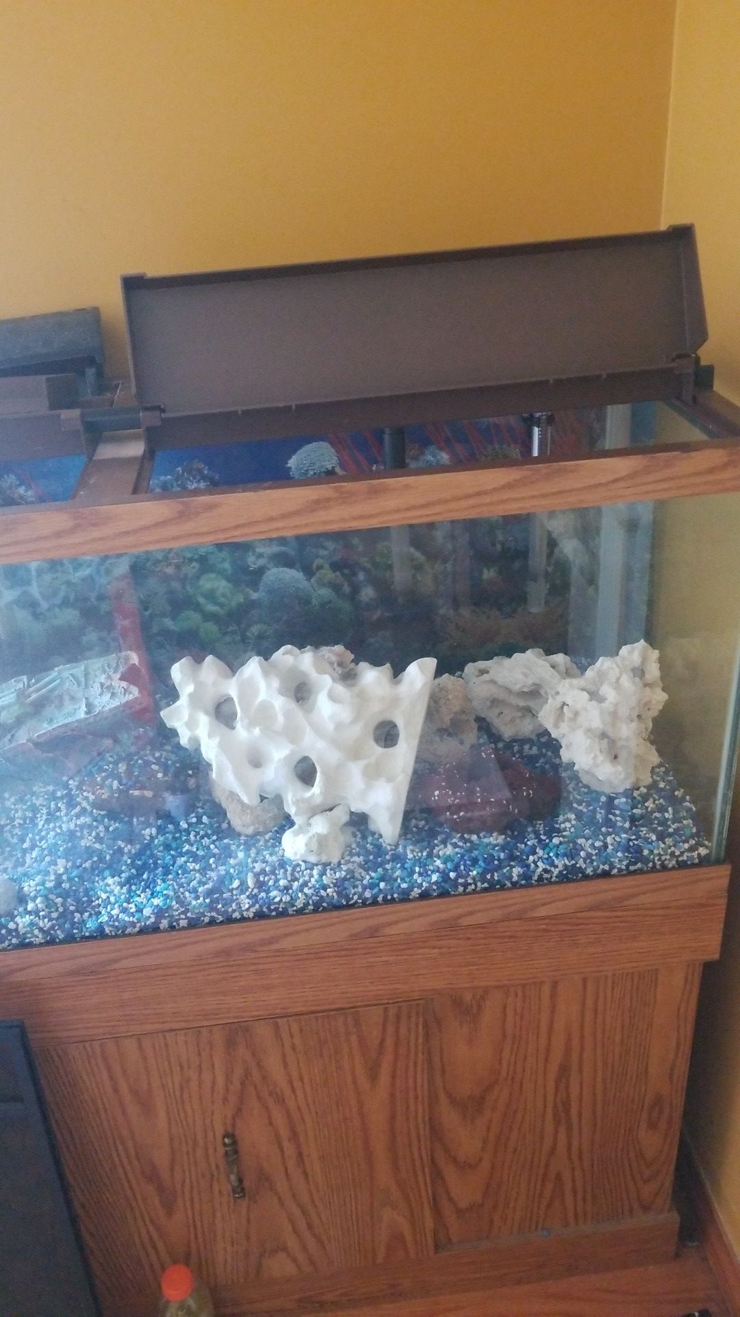 75 gallon fresh water aquarium
